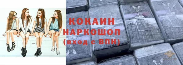 ешки Алексин
