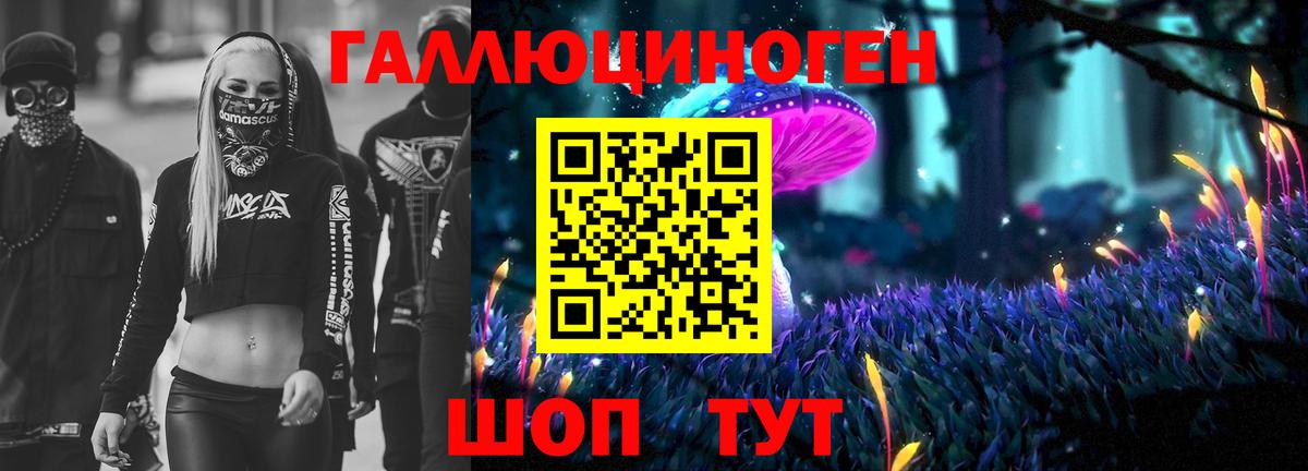 Галлюциногенные грибы Psilocybe  Псилоцибиновые грибы GOLDEN TEACHER  Вход с VPN  Волхов 